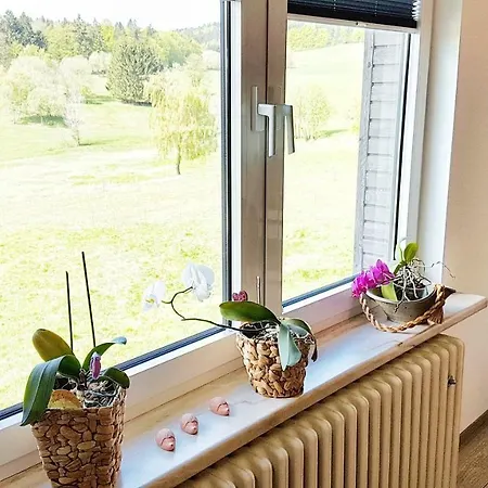 Monis gemütliche Ferienwohnungen Suhl Exterior foto