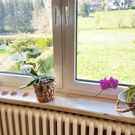 Monis gemütliche Ferienwohnungen Suhl Exterior foto